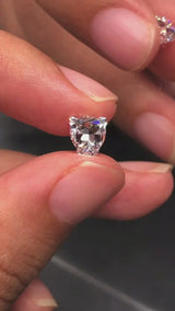 Leopard Head Cut Lab Diamond (Please contact)