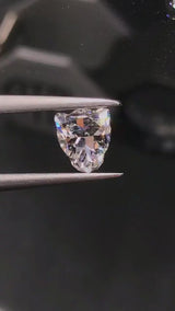 Leopard Head Cut Lab Diamond (Please contact)