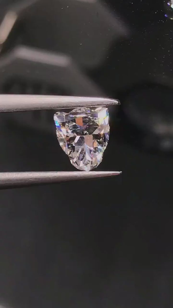 Leopard Head Cut Lab Diamond (Please contact)