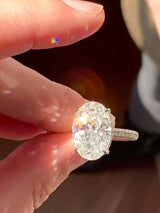 Naomi- Oval Cut Lab Grown Diamond Hidden Halo on Trio Pave Band Engagement Ring