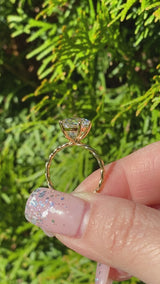 Naomi - Oval Twisted Cable Solitaire Moissanite Engagement Ring