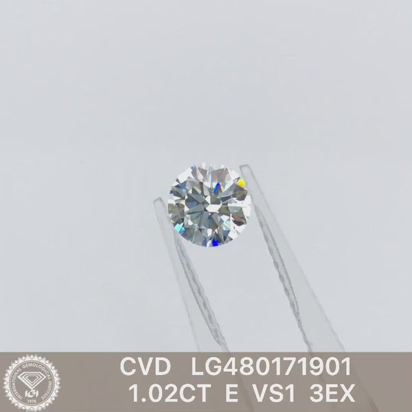 Lab Grown Diamond Round LG480171901